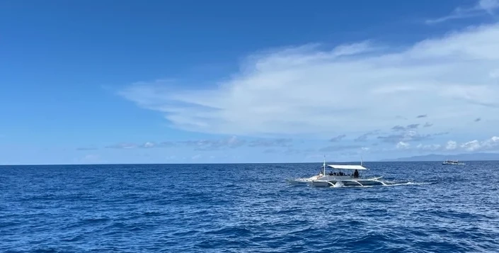 Стоимость погружений у острова Panglao